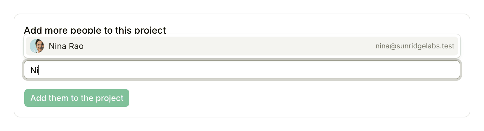The Add more people to this project box with "Ni" typed in the search field and Nina Rao offered as a suggestion just above it