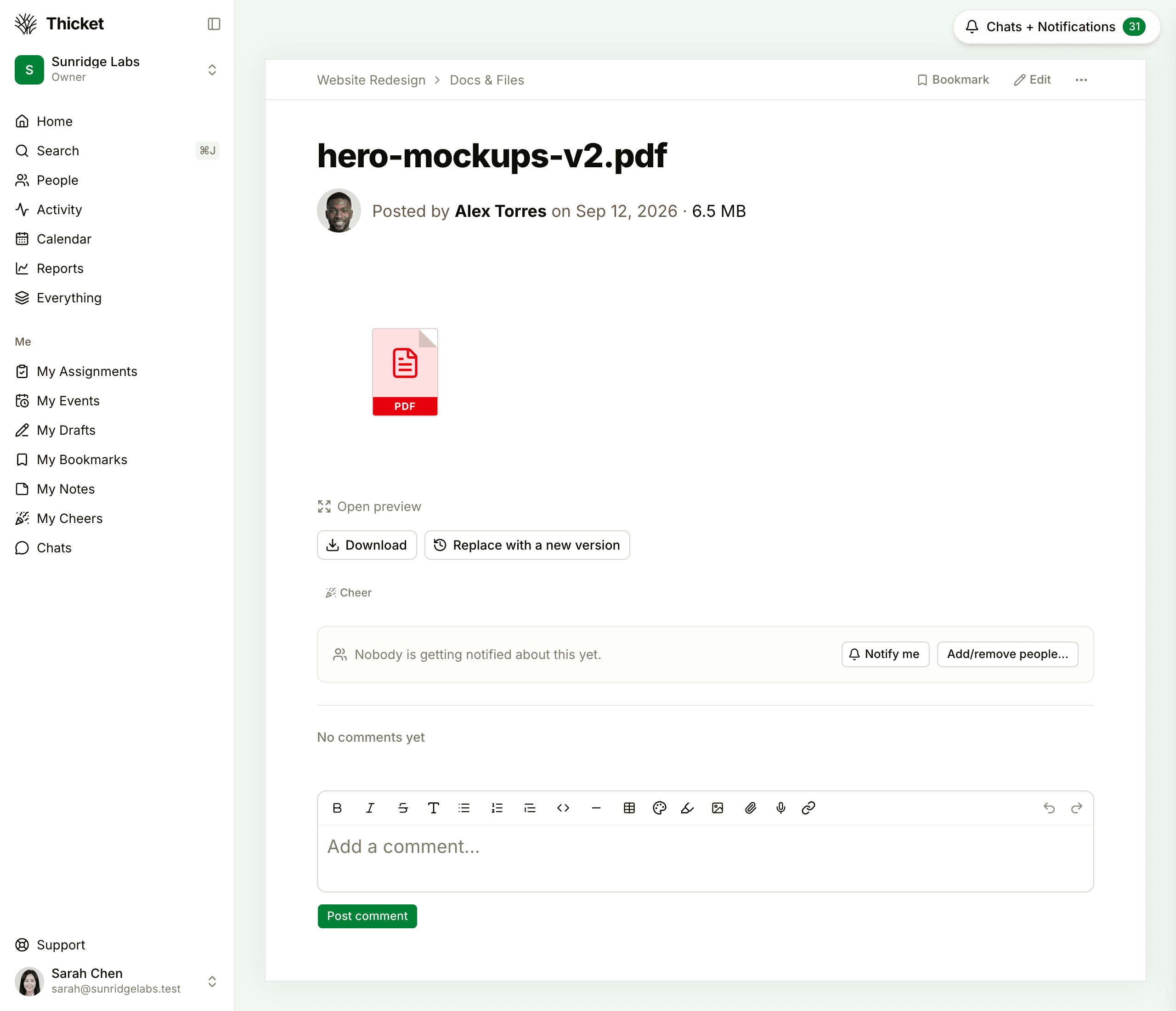 A file page for a PDF, showing who posted it and its size, with Open preview, the Download and Replace with a new version buttons, and the comment box below.