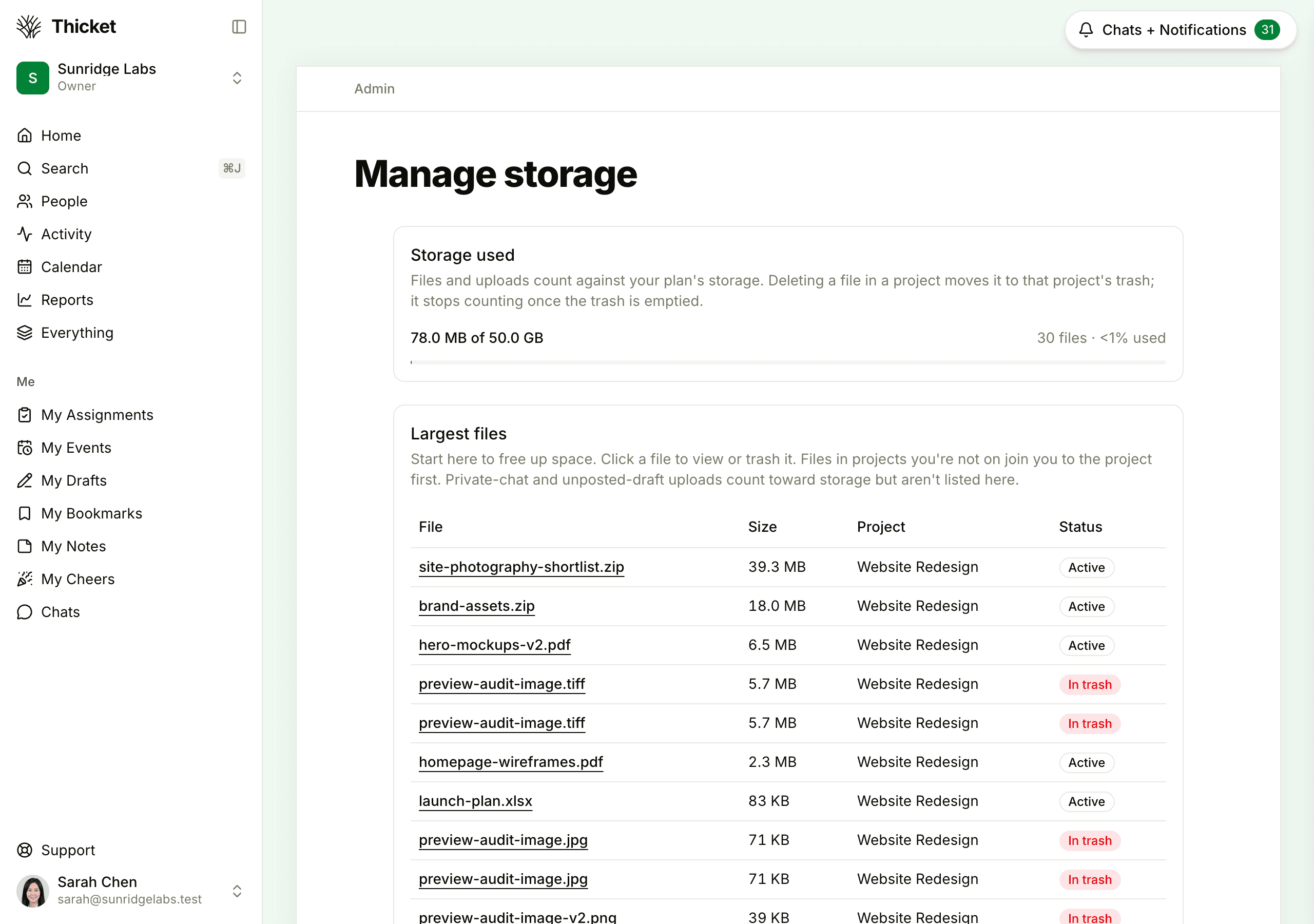 The Manage storage page, with the Storage used bar at the top and the Largest files table below, listing each file's size, project and status