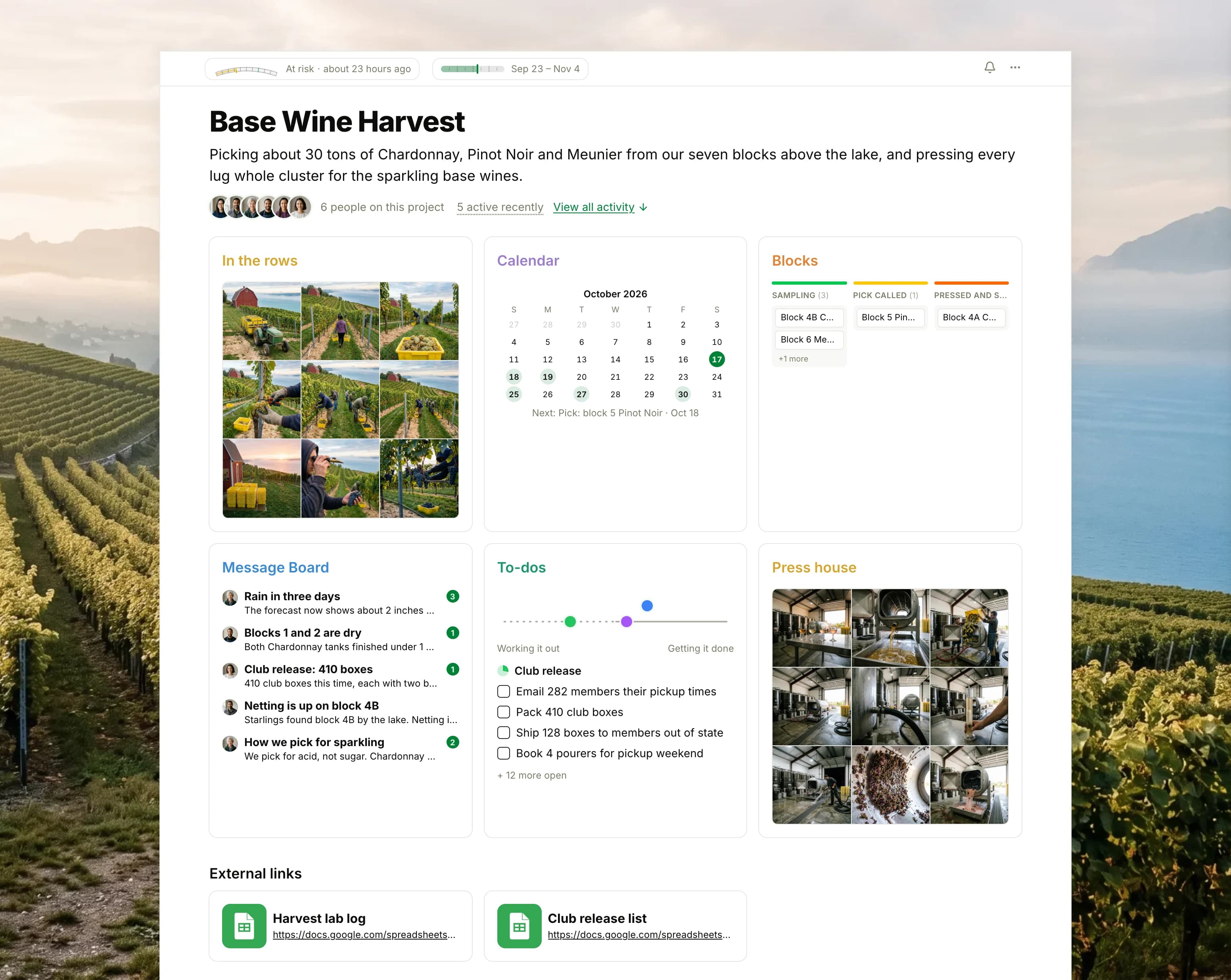 The Base Wine Harvest project in Thicket over a photograph of vineyard rows running down to a wide lake: the health flag reading At risk, the project dates, six people and two links, then six cards: In the rows as nine photographs of the Chardonnay and Pinot Noir picking, the Calendar with tomorrow's Pinot Noir pick next, the Blocks board with cards in Sampling, Pick called, Pressed and settling, and Fermenting, the Message Board with the rain forecast on top, To-dos with three lists on the progress chart, and Press house as nine photographs of whole clusters going into the press and juice running to the tanks.